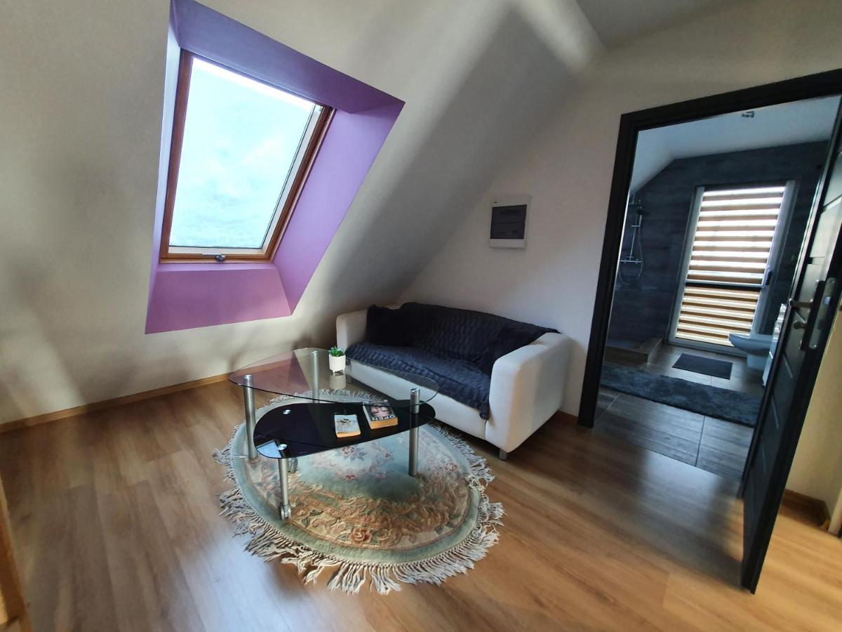 Nowy Dom Apartament Z Widokiem Na Gory 8 Osob Bielsko-Biała Kültér fotó